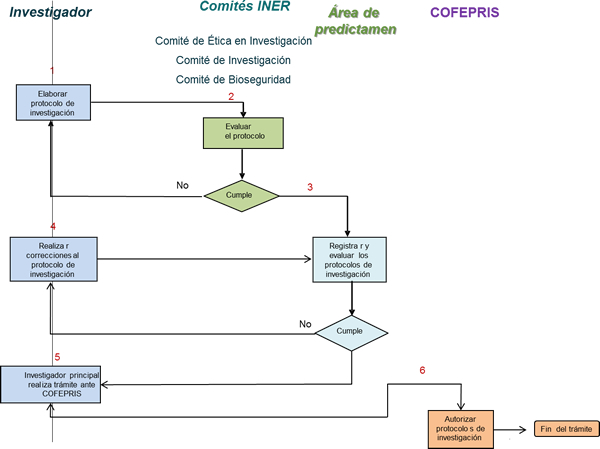 Proceso General